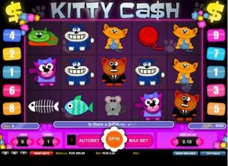 Kitty cash