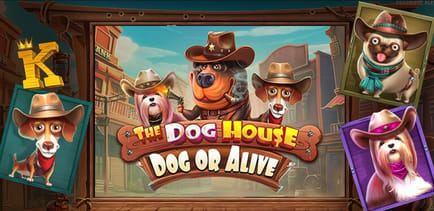 The Dog House Dog or Alive