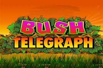 Bush telegraph