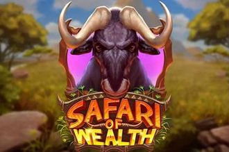 Safari of wealth